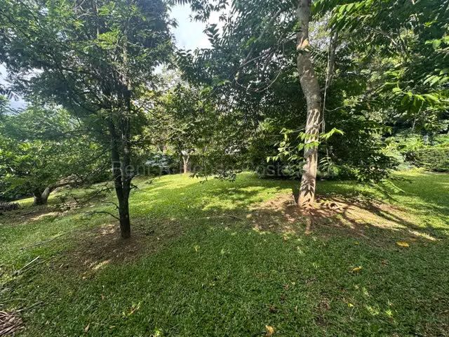 Lote en Venta-Ciudad Colon. 26-2249 - Imagen 2