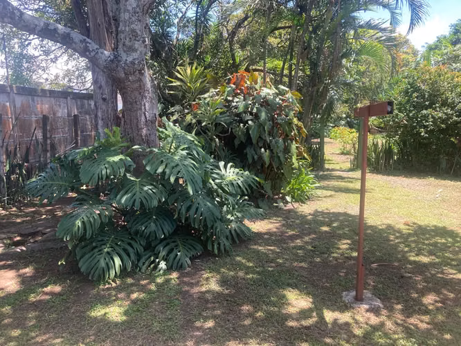 Lote Plano con 2 Frentes Uruca | Ideal para Desarrollo - Imagen 2