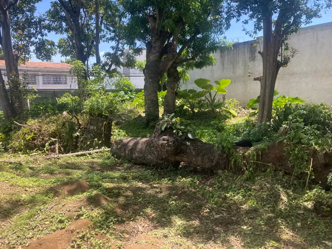 Lote Plano con 2 Frentes Uruca | Ideal para Desarrollo - Imagen 4