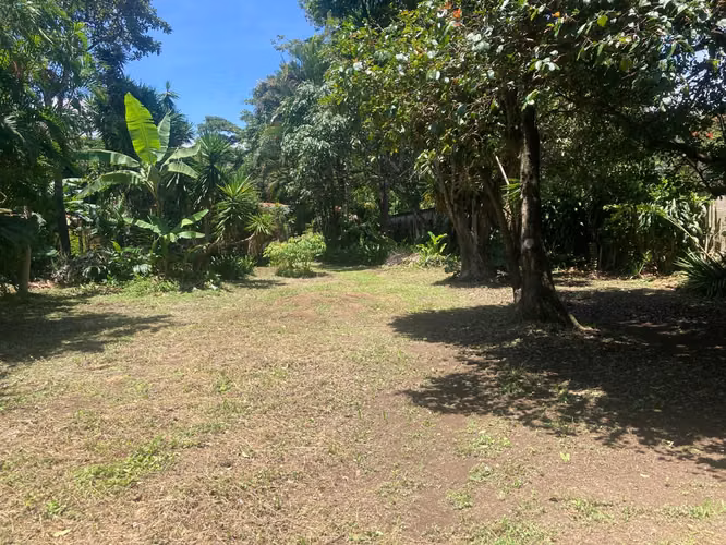 Lote Plano con 2 Frentes Uruca | Ideal para Desarrollo - Imagen 13