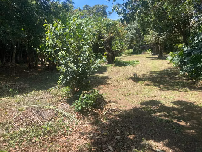 Lote Plano con 2 Frentes Uruca | Ideal para Desarrollo - Imagen 10