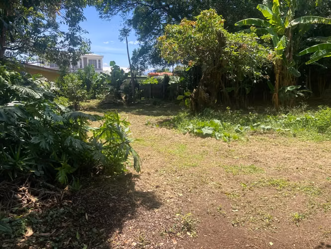 Lote Plano con 2 Frentes Uruca | Ideal para Desarrollo - Imagen 7