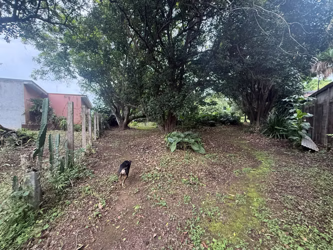 Lote Plano con 2 Frentes Uruca | Ideal para Desarrollo - Imagen 20