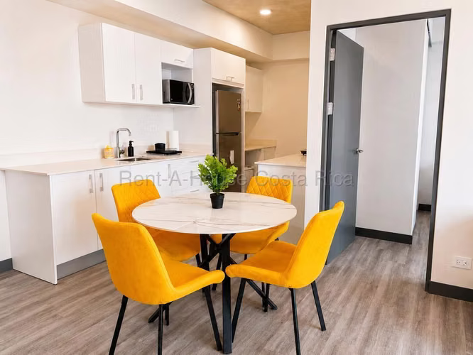 Apartamento en alquiler en Secrt Sabana, Mata Redonda. - Imagen 4