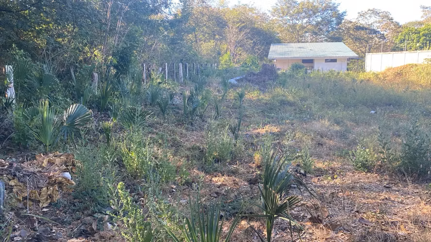 Lote en Huacas! 1.121 m² con Servicios Instalados, Privacidad y Potencial para Airbnb o Desarrollo - Imagen 10