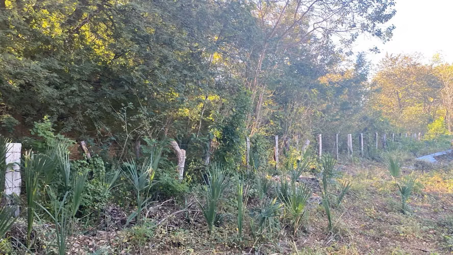 Lote en Huacas! 1.121 m² con Servicios Instalados, Privacidad y Potencial para Airbnb o Desarrollo - Imagen 8