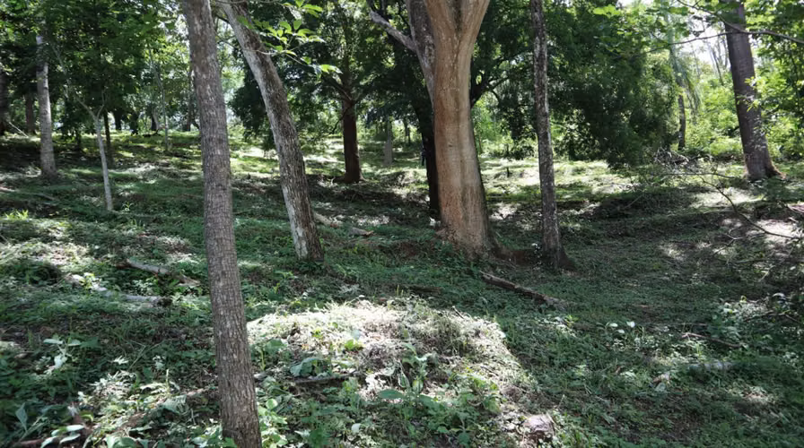 Venta quinta Hacienda Los Manantiales, San Pablo, Turrubares. VPR439 - Imagen 6