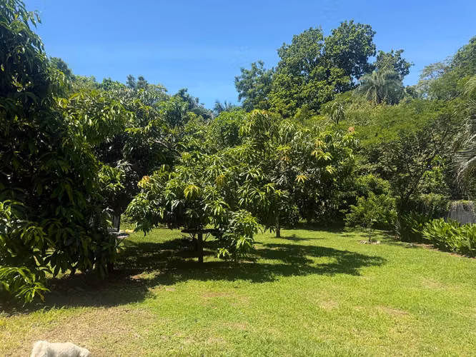 Venta de propiedad con dos Casas Condominio Mallorquina, Esparza - Imagen 11