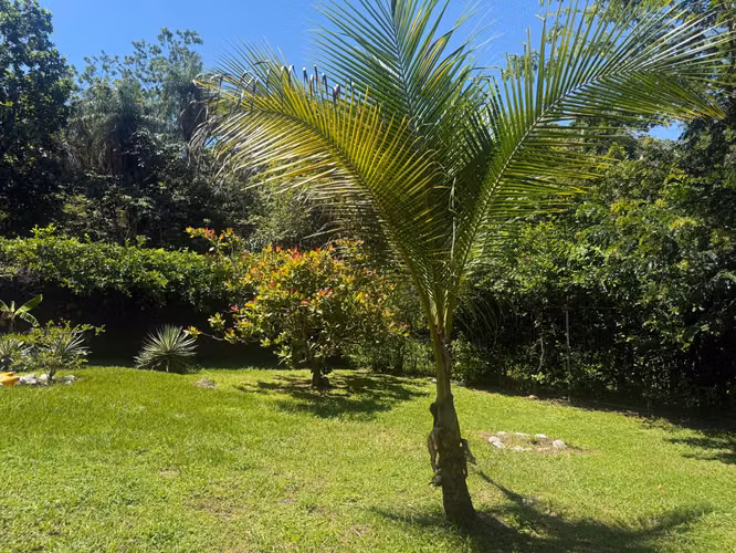 Venta de propiedad con dos Casas Condominio Mallorquina, Esparza - Imagen 14