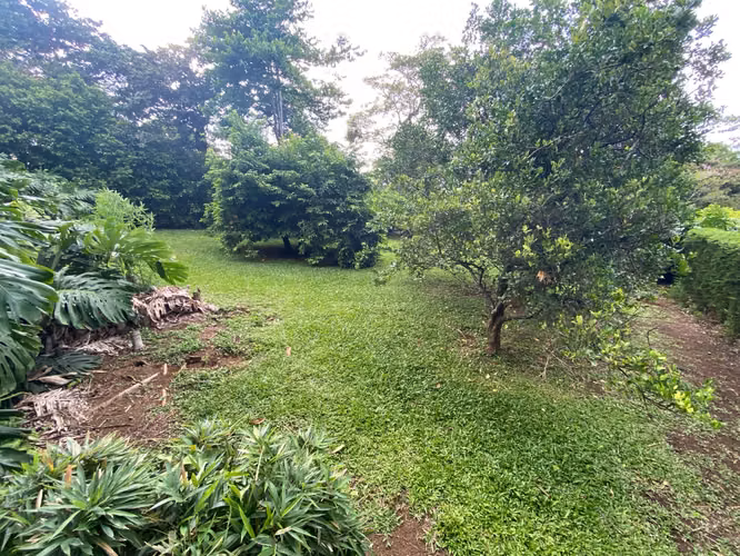 CIUDAD COLON. OPORTUNIDAD VENTA LOTE EXCLUSIVO MP 26-2249 - Imagen 9