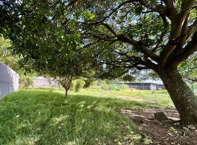 VENDO LOTE PLANO EN BELEN FRENTE A CALLE!!! - Imagen 6