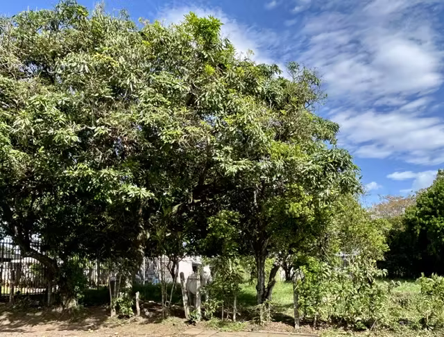 VENDO LOTE PLANO EN BELEN FRENTE A CALLE!!! - Imagen 8
