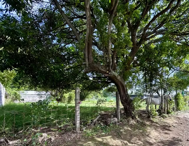 VENDO LOTE PLANO EN BELEN FRENTE A CALLE!!! - Imagen 5