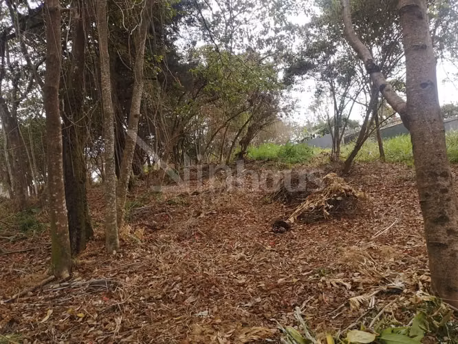 id # 31850 Venta Lote para Desarrollo - Curridabat - Imagen 10