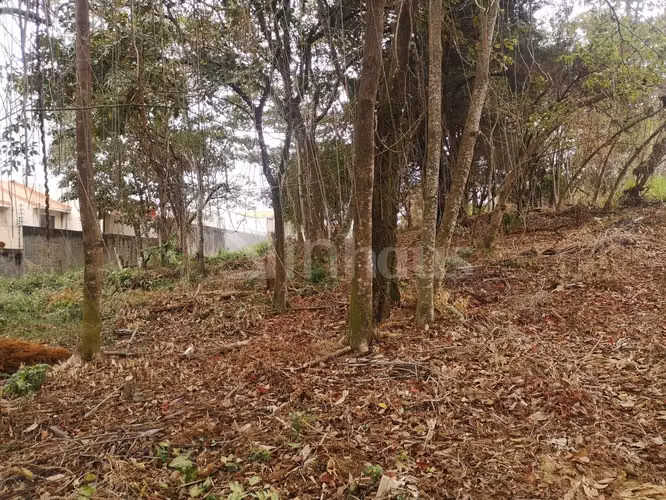 id # 31850 Venta Lote para Desarrollo - Curridabat - Imagen 9