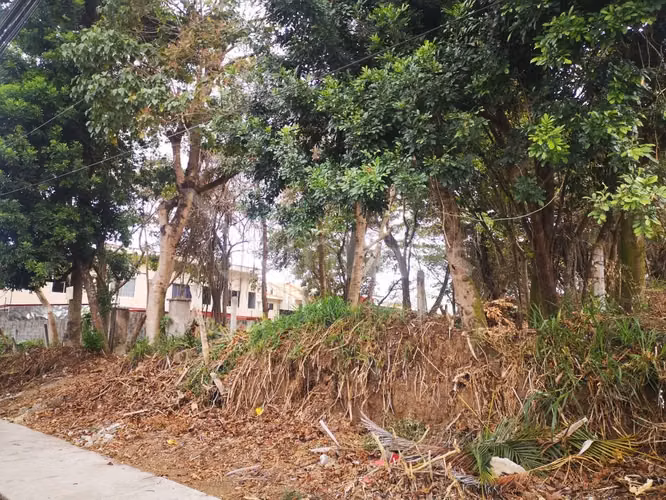 id # 31850 Venta Lote para Desarrollo - Curridabat - Imagen 12