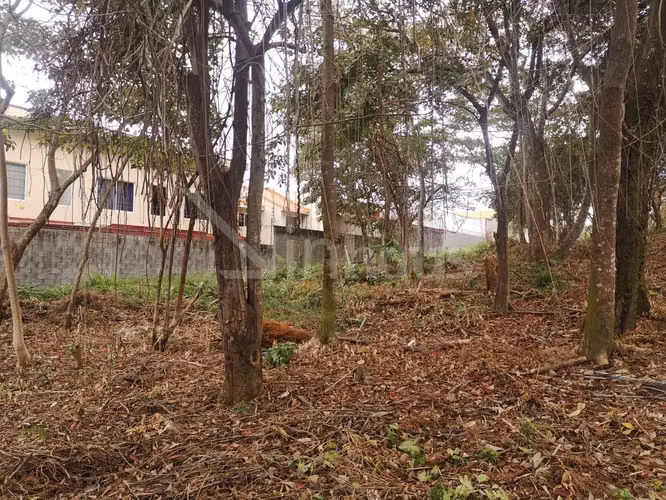 id # 31850 Venta Lote para Desarrollo - Curridabat - Imagen 11