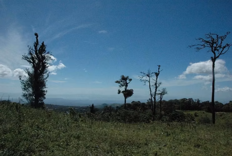 Venta de terreno en Monteverde, Puntarenas - Imagen 2