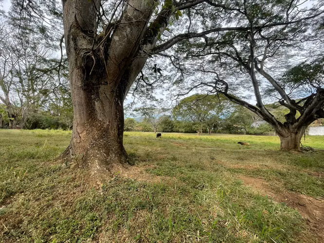 LOTE DE OPORTUNIDAD EN TURRÚCARES DE ALAJUELA - Imagen 5