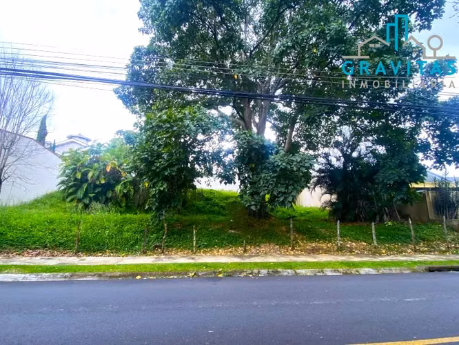 Terreno en Pinares Curridabat de 12254m2 ID 924 - Imagen 10