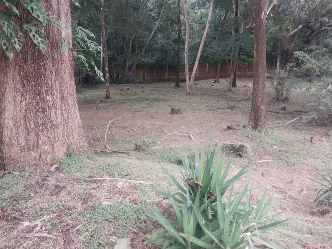 Lote en condominio a la venta en Coyolar de Orotina. - Imagen 9