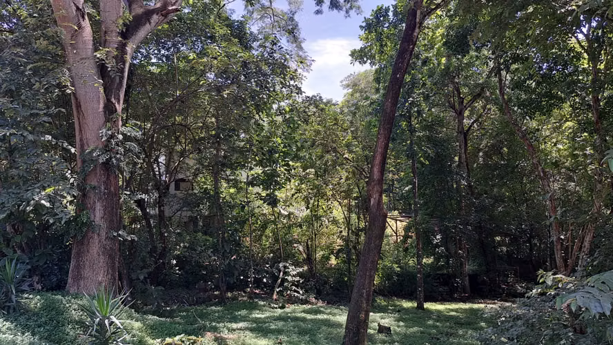 Lote en condominio a la venta en Coyolar de Orotina. - Imagen 2
