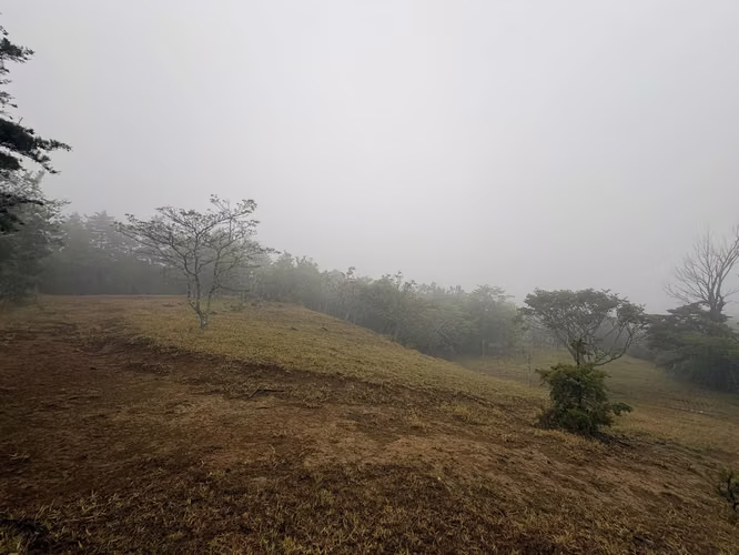 ¡HERMOSO TERRENO EN VENTA, QUEBRADILLAS, PIEDADES SUR, SAN RAMÓN, ALAJUELA  - Imagen 2