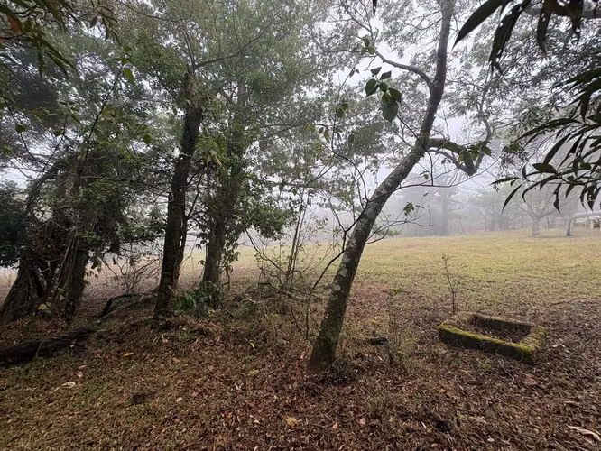 ¡HERMOSO TERRENO EN VENTA, QUEBRADILLAS, PIEDADES SUR, SAN RAMÓN, ALAJUELA  - Imagen 3
