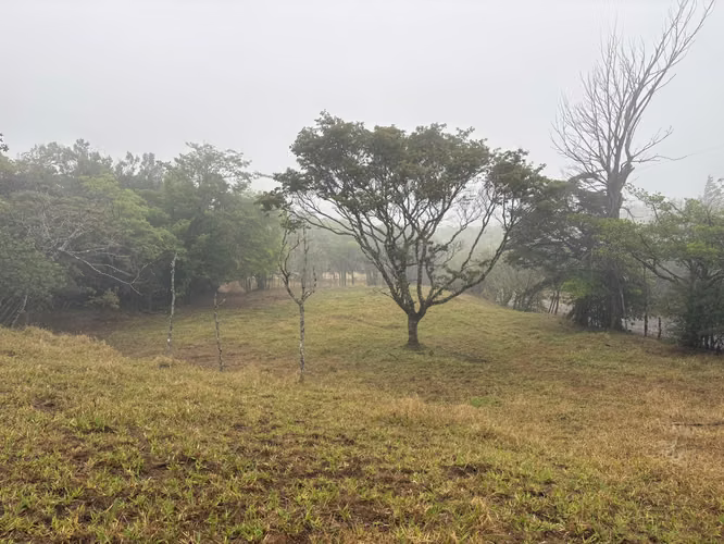 ¡HERMOSO TERRENO EN VENTA, QUEBRADILLAS, PIEDADES SUR, SAN RAMÓN, ALAJUELA  - Imagen 6