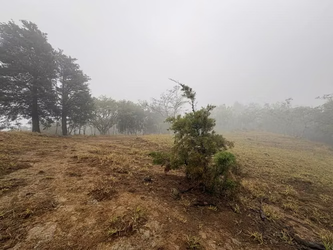 ¡HERMOSO TERRENO EN VENTA, QUEBRADILLAS, PIEDADES SUR, SAN RAMÓN, ALAJUELA  - Imagen 7