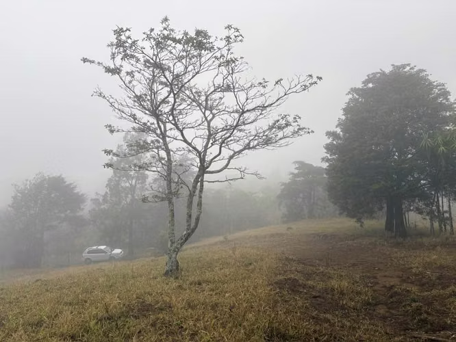 ¡HERMOSO TERRENO EN VENTA, QUEBRADILLAS, PIEDADES SUR, SAN RAMÓN, ALAJUELA  - Imagen 12