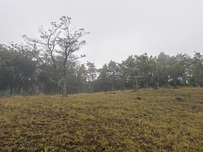 ¡HERMOSO TERRENO EN VENTA, QUEBRADILLAS, PIEDADES SUR, SAN RAMÓN, ALAJUELA  - Imagen 9