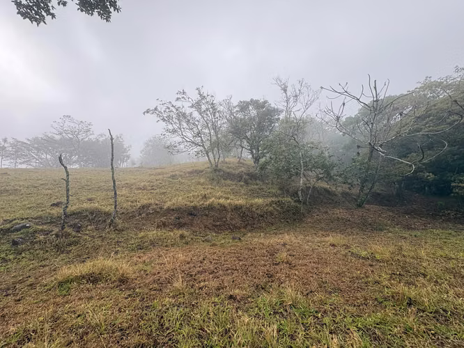 ¡HERMOSO TERRENO EN VENTA, QUEBRADILLAS, PIEDADES SUR, SAN RAMÓN, ALAJUELA  - Imagen 5
