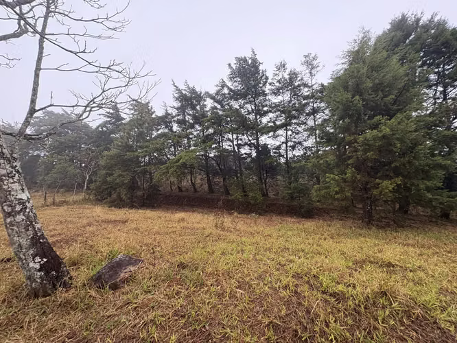 ¡HERMOSO TERRENO EN VENTA, QUEBRADILLAS, PIEDADES SUR, SAN RAMÓN, ALAJUELA  - Imagen 4