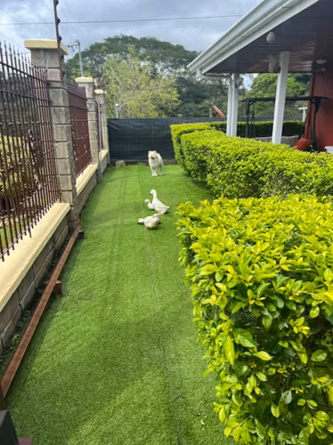 VENTA DE CASA EN SAN MIGUEL DE TURRUCARES ALAJUELA COSTA RICA - Imagen 14