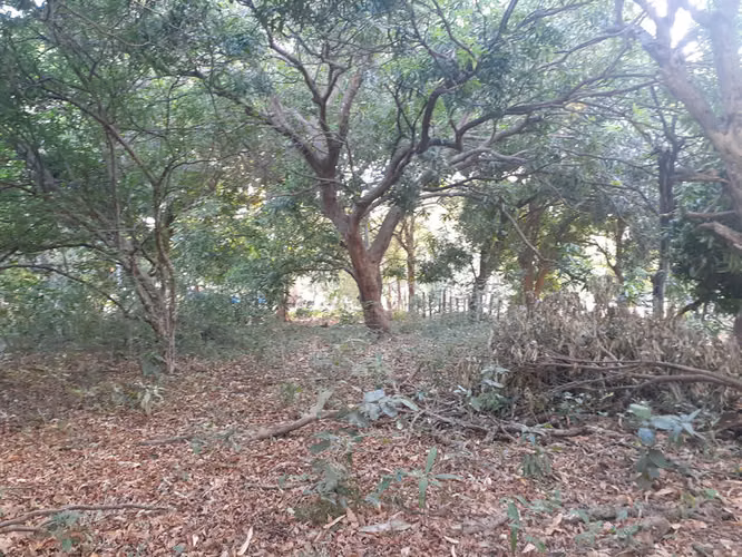 Terreno de 3495m2 para construir - uso mixto - Playas del Coco - Imagen 5