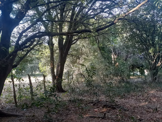 Terreno de 3495m2 para construir - uso mixto - Playas del Coco - Imagen 4