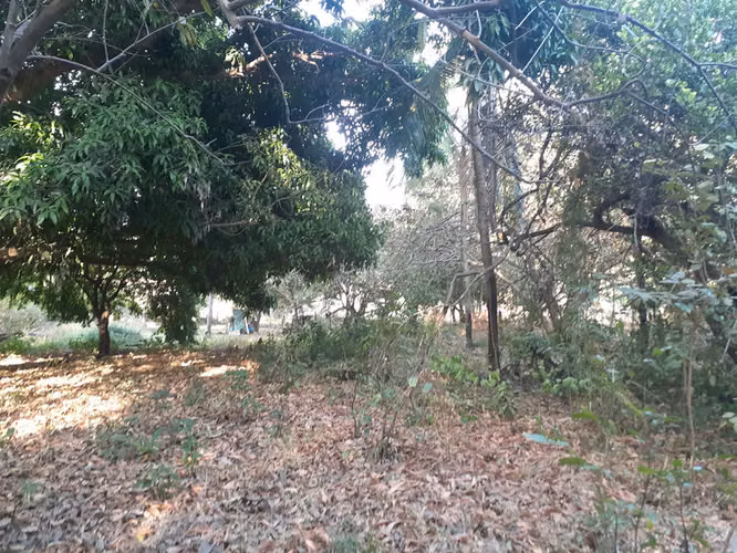 Terreno de 3495m2 para construir - uso mixto - Playas del Coco - Imagen 6