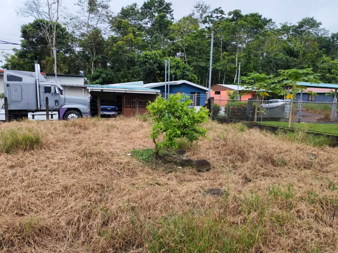 Lote 228 m2 en Guápiles La Angelina - Imagen 6