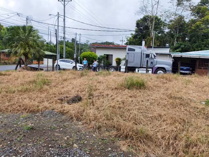 Lote 228 m2 en Guápiles La Angelina - Imagen 9