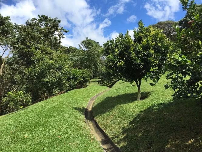 Lote Premium en Condominio Campestre en Grecia – Listo para Construir con Majestuoso Arbol - Imagen 14
