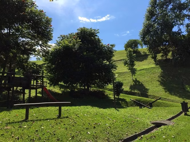 Lote Premium en Condominio Campestre en Grecia – Listo para Construir con Majestuoso Arbol - Imagen 12