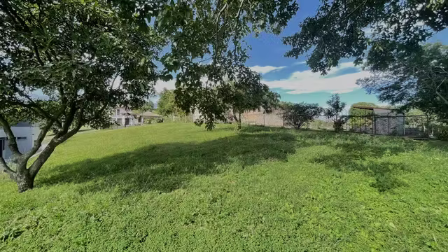 Lote Premium en Condominio Campestre en Grecia – Listo para Construir con Majestuoso Arbol - Imagen 6