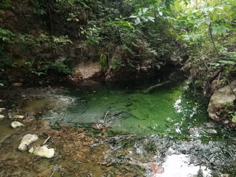 FINCA EN VENTA.  GANADERÍA.  NACIENTES DE  AGUA TERMAL. 162  HECT. - Imagen 11