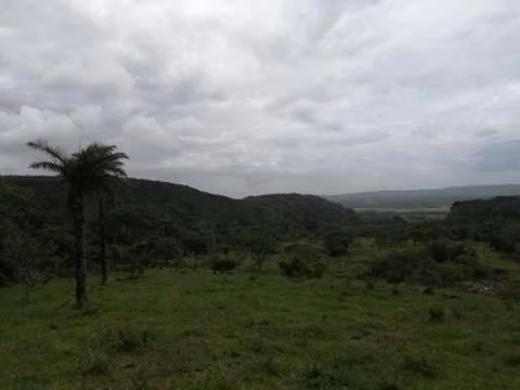 FINCA EN VENTA.  GANADERÍA.  NACIENTES DE  AGUA TERMAL. 162  HECT. - Imagen 5