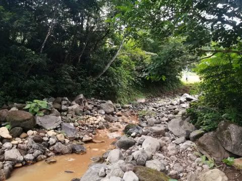 FINCA EN VENTA.  GANADERÍA.  NACIENTES DE  AGUA TERMAL. 162  HECT. - Imagen 14