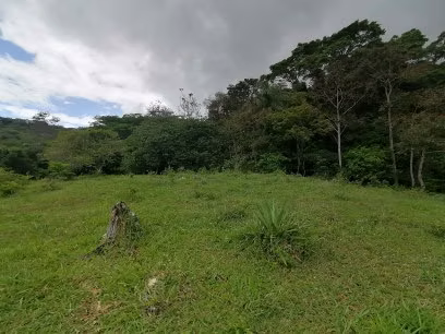 FINCA EN VENTA.  GANADERÍA.  NACIENTES DE  AGUA TERMAL. 162  HECT. - Imagen 10
