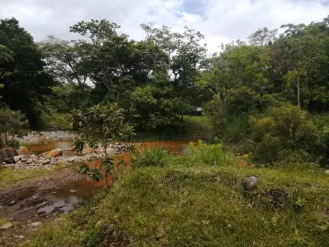 FINCA EN VENTA.  GANADERÍA.  NACIENTES DE  AGUA TERMAL. 162  HECT. - Imagen 16