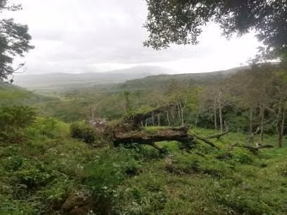 FINCA EN VENTA.  GANADERÍA.  NACIENTES DE  AGUA TERMAL. 162  HECT. - Imagen 2