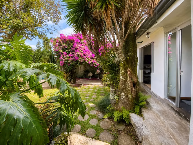 VENTA DE PROPIEDAD EN ESCALANTE USO COMERCIAL O RESIDENCIAL - Imagen 16